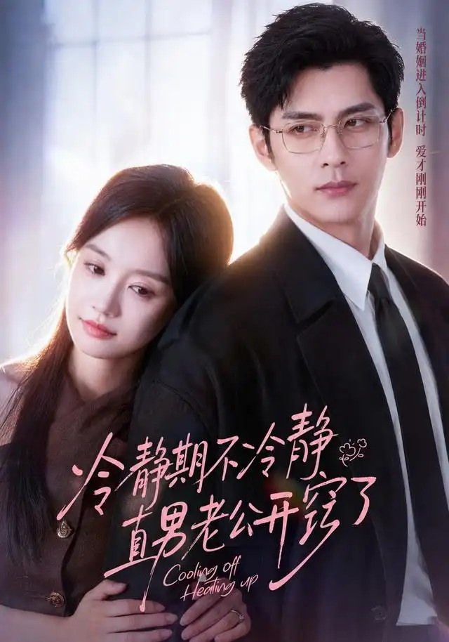 短剧《冷静期不冷静直男老公开窍了 (73集) 秦琛琛&张诗媛》海报