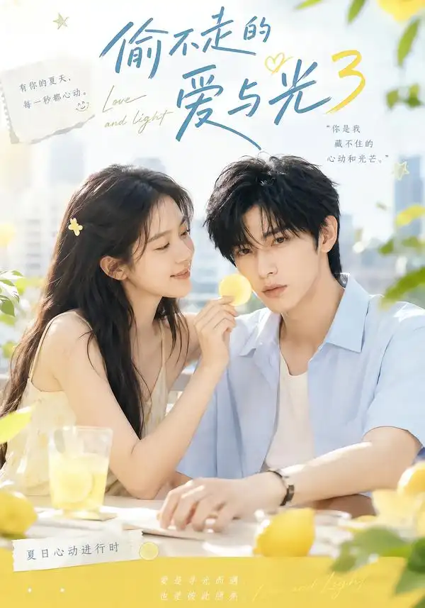 短剧《偷不走的爱与光3 (90集)》海报