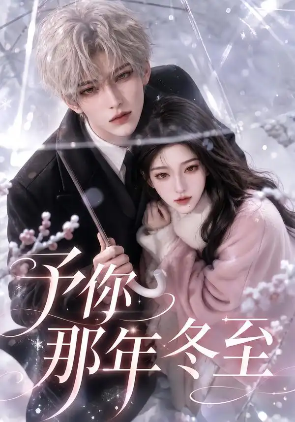 短剧《予你那年冬至 (626集)》海报