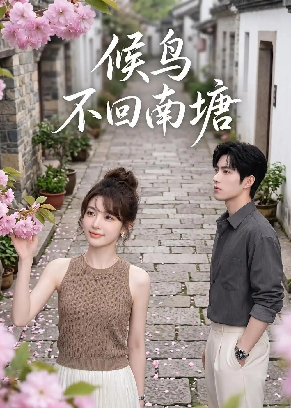 短剧《候鸟不回南塘 (65集)》海报