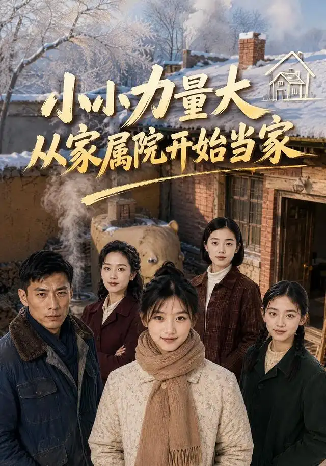 短剧《小小力量大从家属院开始当家 (96集) AI短剧》海报