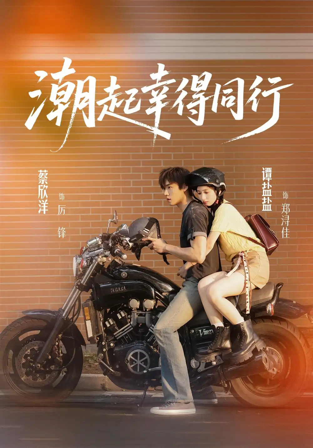 短剧《潮起幸得同行 (73集) 蔡欣洋&谭盐盐》海报