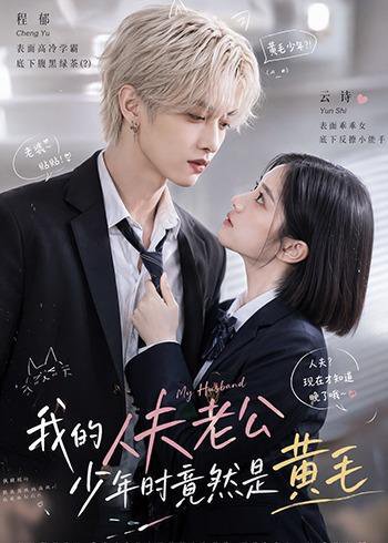 短剧《我的人夫老公少年时竟然是黄毛!(15集)AI短剧 (2026)》海报
