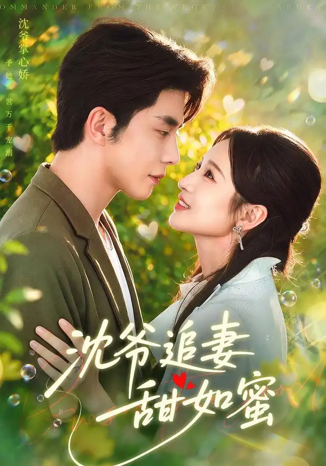短剧《沈爷追妻甜如蜜(77集)秦琛琛&戚羽佳 (2026)》海报