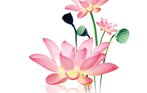 水墨工具箱 v9.9.9 解锁去广告