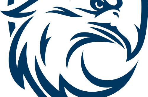 蓝鹰去广 v1.0 xposed模块