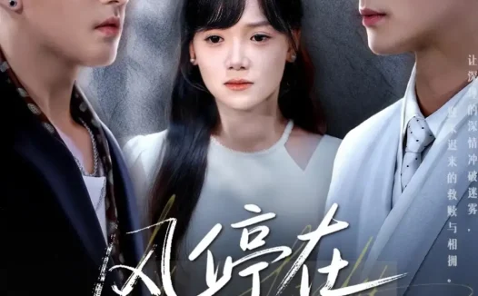 热播短剧《风停在转身时》全集在线免费观看