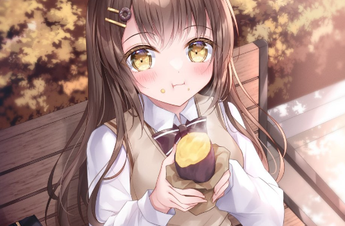 番薯动漫 v1.0.1 去广告