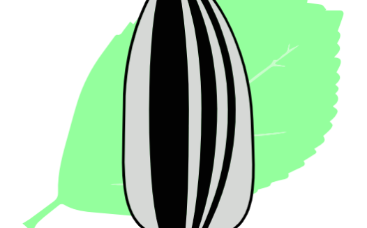 瓜籽影视 v1.0.0 去广告