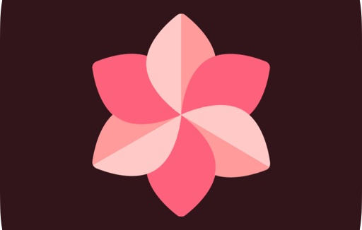 WallSpot(壁纸软件) v1.6 解锁Pro