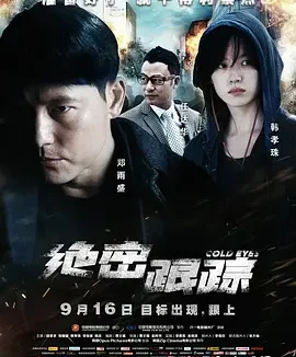 绝密跟踪 [2013][7.7分]