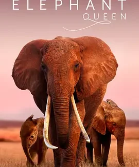 大象女王 [2018][9.4分]