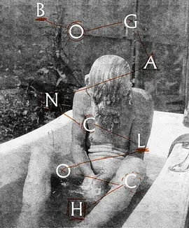 林中空地 [2024][6.9分]