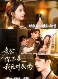 《老公你不是我死对头吗(79集)韩旭&郇依芯》短剧全集免费在线看