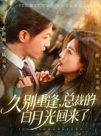《久别重逢总裁的白月光回来了(62集)古铭瀚&田甜一》短剧全集免费在线看
