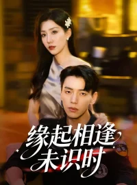 《缘起相逢未识时（57集）孙同钰/尼玛坚赞》短剧全集免费在线看