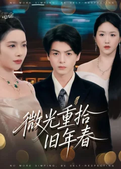 《微光重拾旧年春（80集）徐文聪/杨林涛》短剧全集免费在线看