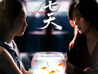 《第七天（48集）白雪茹＆王慧珠》短剧全集免费在线看