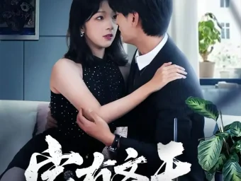 《家有齐天（60集）王国豪杰＆孙梦蝶＆曲美霖》短剧全集免费在线看