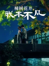 《楝树花开之我本不凡（74集）陈刚＆孙妍恩》短剧全集免费在线看