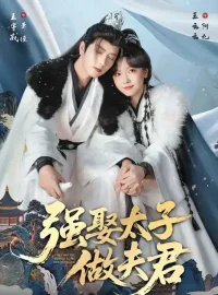 《强娶太子做夫君（67集）王宇威＆王云云》短剧全集免费在线看