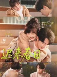 《迟来春日（84集）时康＆田甜一》短剧全集免费在线看