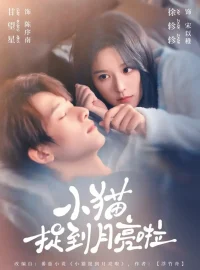 《小猫捉到月亮啦（80集）甘望星＆徐轸轸》短剧全集免费在线看