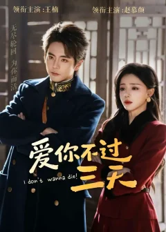 《爱你不过三天（63集）王楠＆赵慕颜》短剧全集免费在线看