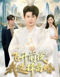 短剧《飞升前夜,我选择离婚(80集)王昭&张颖洁》全集免费在线观看