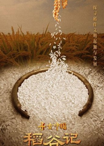 🗄 寻古中国·稻谷记 (2023)