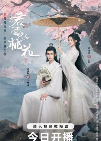 君面似桃花 (2024)