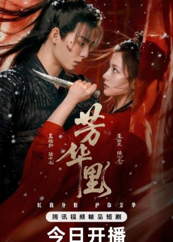 芳华里（2026）4K S01E01 – E06  HiveWeb