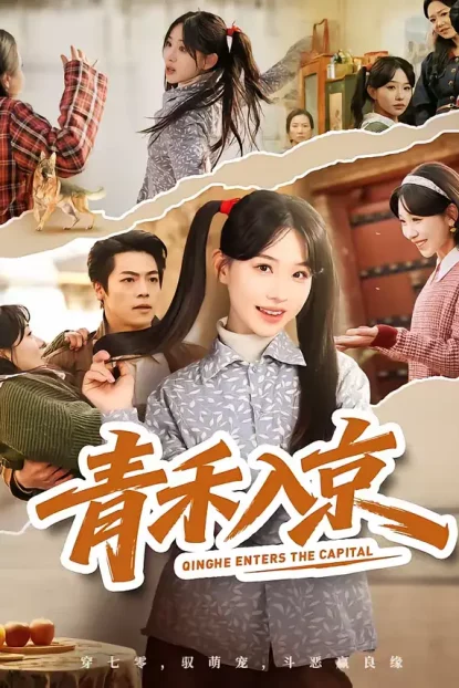 短剧《青禾入京(60集)于忻&仇赫》全集免费在线观看