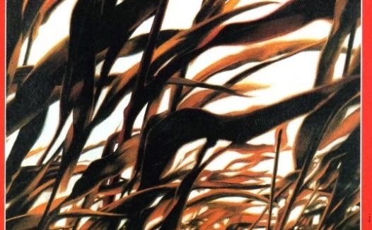 🗄 [红高粱][1988][国语中字][1080P蓝光][5.5G] 姜文/巩俐