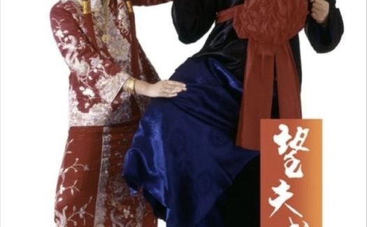 【原盘】望夫成龙 (1990) 1080P REMUX 国粤多音轨 中字外挂/内嵌字幕