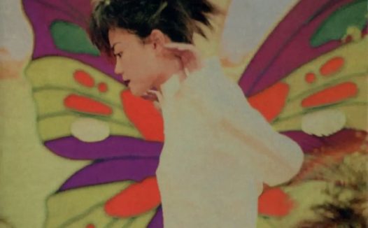 王菲 – 1995年专辑 – Di-dar -Flac