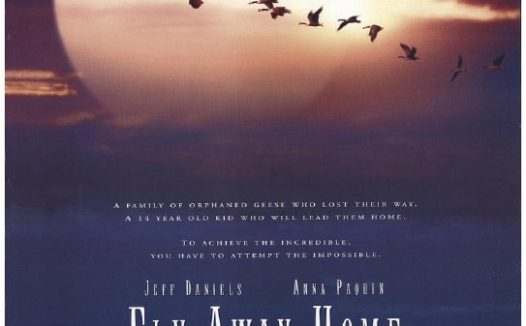 【电影】伴你高飞 中英双字 1996 1080P