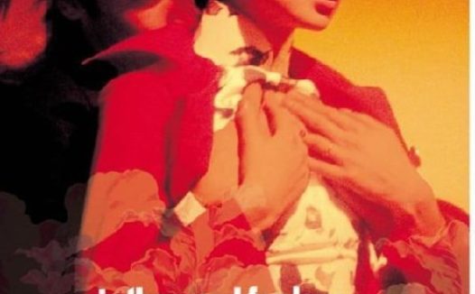 花样年华 (2000) 1080P 国粤多音轨 中字内嵌字幕