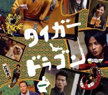 虎与龙 (2005) 1080P 全集 中字内嵌字幕