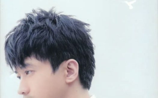 光良 – 2007年专辑 – 不会分离   Flac