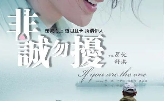 非诚勿扰 (2008) 4K