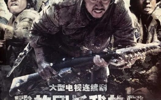 我的团长我的团 (2009)