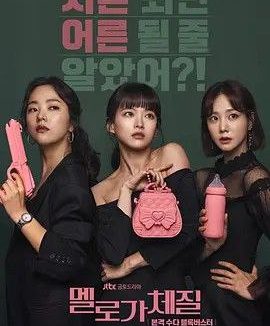 浪漫的体质 (2019) 1080P 全集 中字内嵌字幕