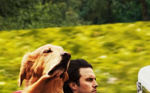 【电影】我在雨中等你 中英双字 2019 1080P