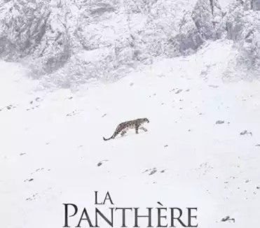 雪豹女王 (2021) 1080P 中英外挂字幕