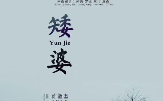 矮婆 (2021) 4K 高码 60帧