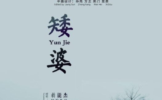 🗄 矮婆 (2021) 4K 高码 60帧