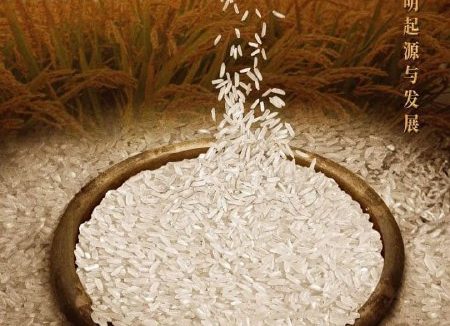 🗄 寻古中国·稻谷记 (2023)