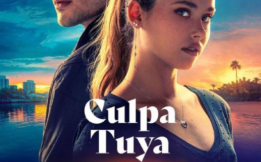 【电影】你的错误 内嵌中字 2024 1080P