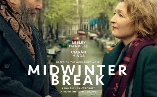 电影：仲冬假期 [2026]